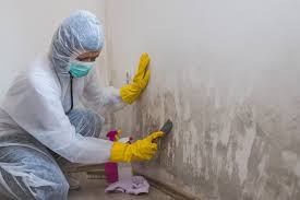 Best Mold Odor Removal Services in Biddeford, ME